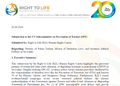 Right to Life Human Rights Centre Brings Urgent Concerns on Police Torture and Systemic Justice Failures to UN Subcommittee